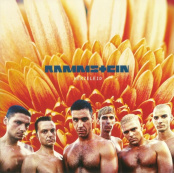 Виниловая пластинка Rammstein – Herzeleid (2 LP)